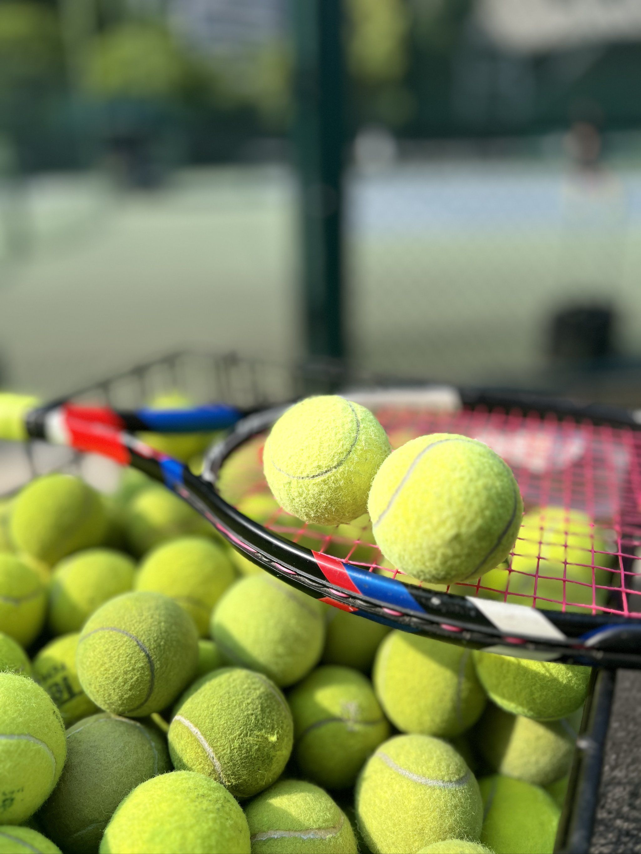 祝仪式究竟 祝仪式究竟